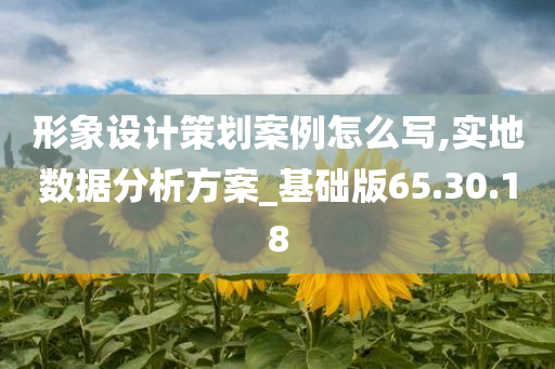 形象设计策划案例怎么写,实地数据分析方案_基础版65.30.18