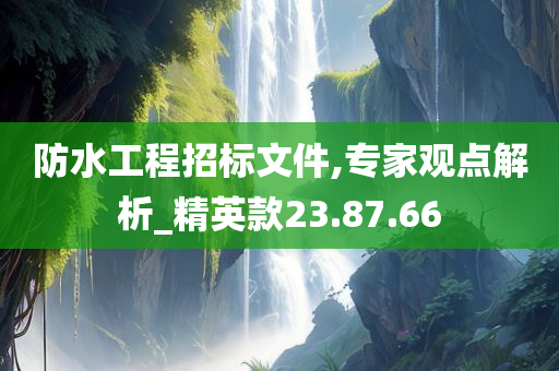 防水工程招标文件,专家观点解析_精英款23.87.66