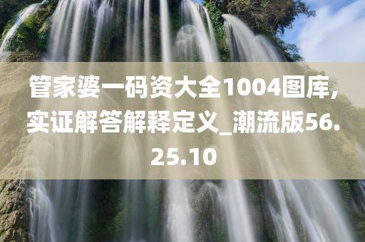 管家婆一码资大全1004图库,实证解答解释定义_潮流版56.25.10