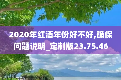 2020年红酒年份好不好,确保问题说明_定制版23.75.46