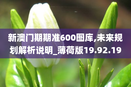 新澳门期期准600图库,未来规划解析说明_薄荷版19.92.19