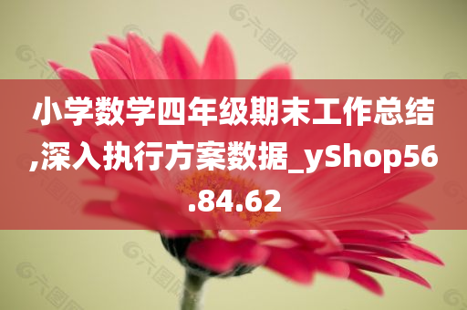 小学数学四年级期末工作总结,深入执行方案数据_yShop56.84.62