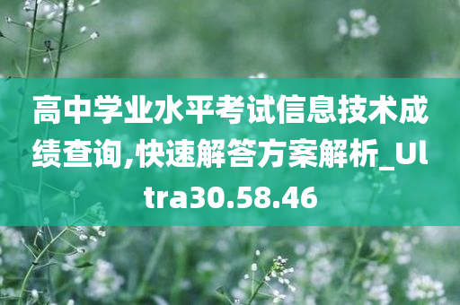 高中学业水平考试信息技术成绩查询,快速解答方案解析_Ultra30.58.46