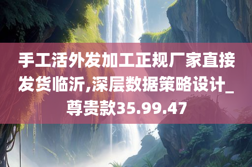 手工活外发加工正规厂家直接发货临沂,深层数据策略设计_尊贵款35.99.47