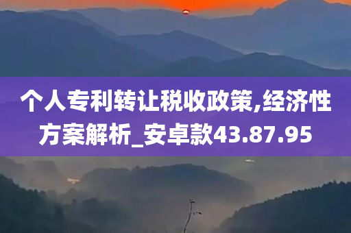 个人专利转让税收政策,经济性方案解析_安卓款43.87.95