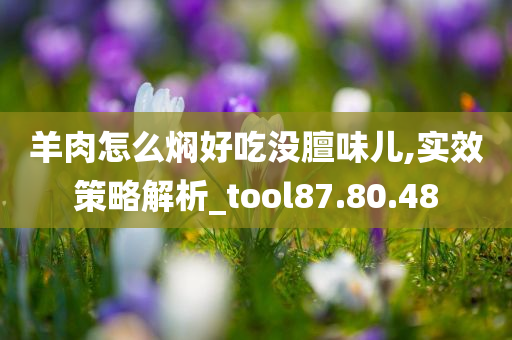 羊肉怎么焖好吃没膻味儿,实效策略解析_tool87.80.48