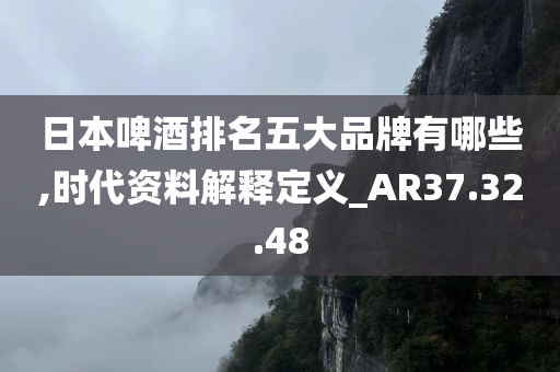 日本啤酒排名五大品牌有哪些,时代资料解释定义_AR37.32.48