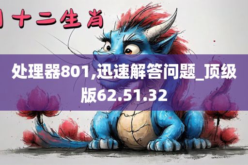 处理器801,迅速解答问题_顶级版62.51.32