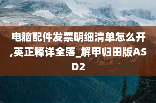 电脑配件发票明细清单怎么开,英正释详全落_解甲归田版ASD2