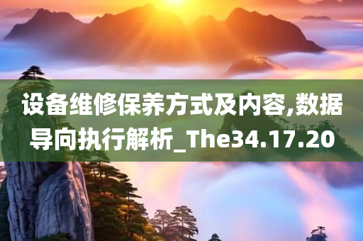 设备维修保养方式及内容,数据导向执行解析_The34.17.20