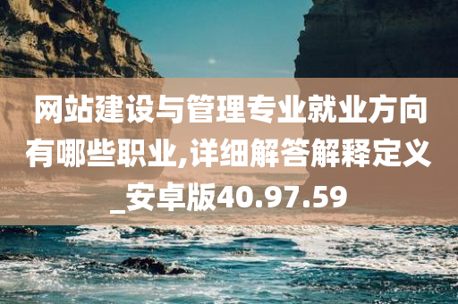 网站建设与管理专业就业方向有哪些职业,详细解答解释定义_安卓版40.97.59