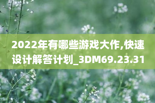 2022年有哪些游戏大作,快速设计解答计划_3DM69.23.31