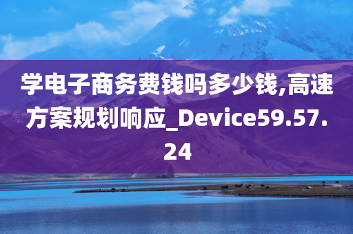 学电子商务费钱吗多少钱,高速方案规划响应_Device59.57.24