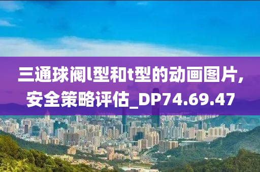 三通球阀l型和t型的动画图片,安全策略评估_DP74.69.47