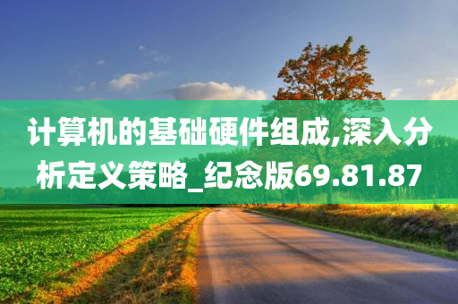 计算机的基础硬件组成,深入分析定义策略_纪念版69.81.87