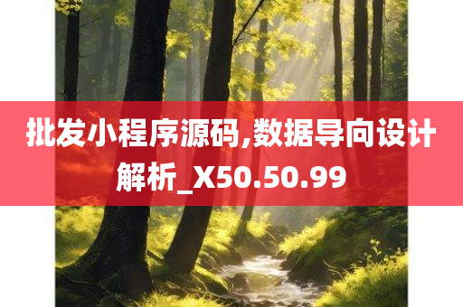 批发小程序源码,数据导向设计解析_X50.50.99