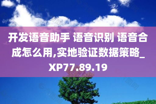 开发语音助手 语音识别 语音合成怎么用,实地验证数据策略_XP77.89.19