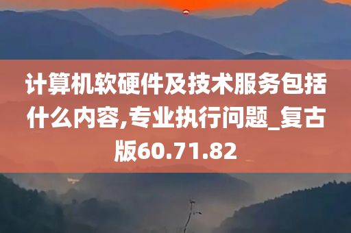 计算机软硬件及技术服务包括什么内容,专业执行问题_复古版60.71.82