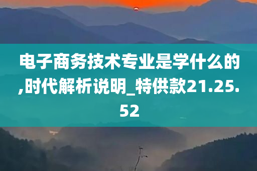 电子商务技术专业是学什么的,时代解析说明_特供款21.25.52