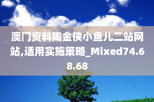 澳门资料陶金侠小鱼儿二站网站,适用实施策略_Mixed74.68.68