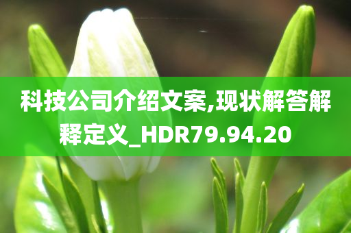 科技公司介绍文案,现状解答解释定义_HDR79.94.20