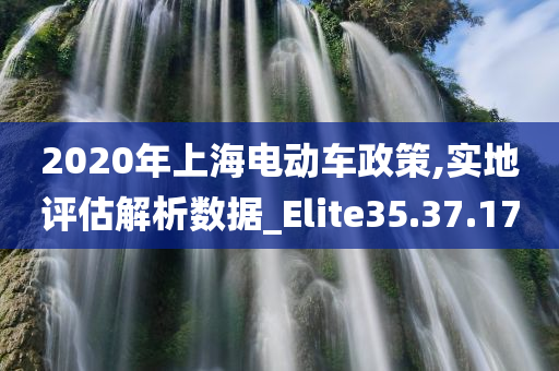 2020年上海电动车政策,实地评估解析数据_Elite35.37.17