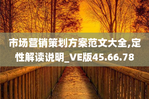 市场营销策划方案范文大全,定性解读说明_VE版45.66.78