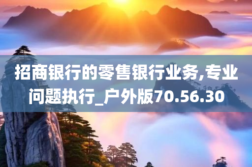 招商银行的零售银行业务,专业问题执行_户外版70.56.30