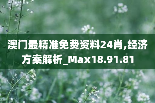 澳门最精准免费资料24肖,经济方案解析_Max18.91.81