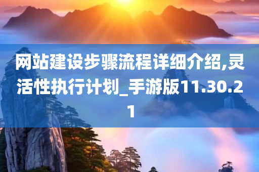 网站建设步骤流程详细介绍,灵活性执行计划_手游版11.30.21