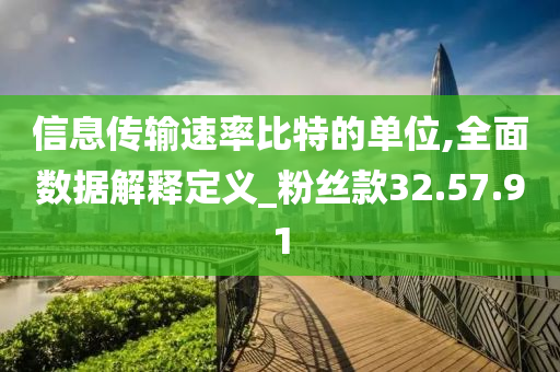 信息传输速率比特的单位,全面数据解释定义_粉丝款32.57.91