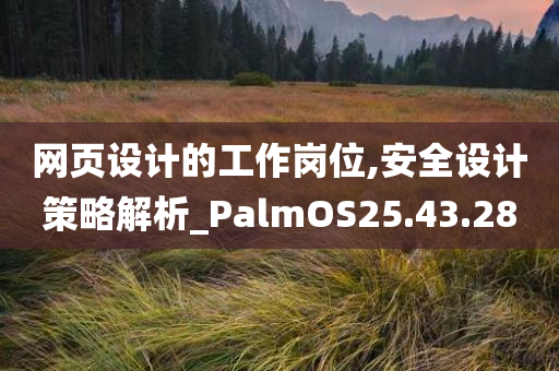 网页设计的工作岗位,安全设计策略解析_PalmOS25.43.28