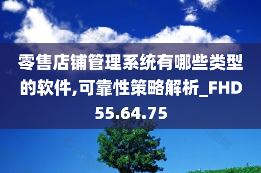 零售店铺管理系统有哪些类型的软件,可靠性策略解析_FHD55.64.75