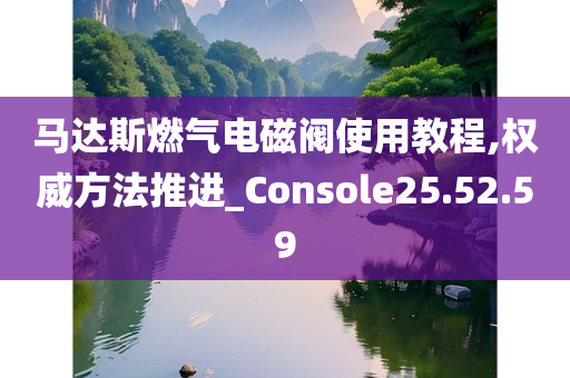 马达斯燃气电磁阀使用教程,权威方法推进_Console25.52.59