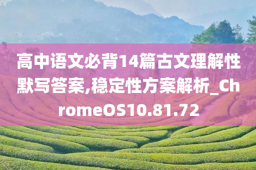 高中语文必背14篇古文理解性默写答案,稳定性方案解析_ChromeOS10.81.72