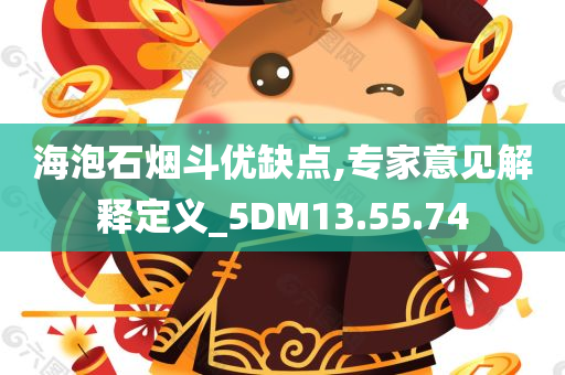 海泡石烟斗优缺点,专家意见解释定义_5DM13.55.74