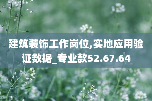 建筑装饰工作岗位,实地应用验证数据_专业款52.67.64