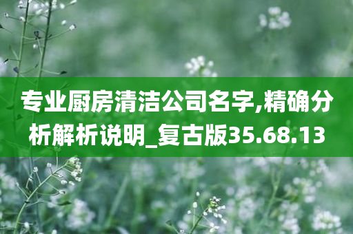 专业厨房清洁公司名字,精确分析解析说明_复古版35.68.13