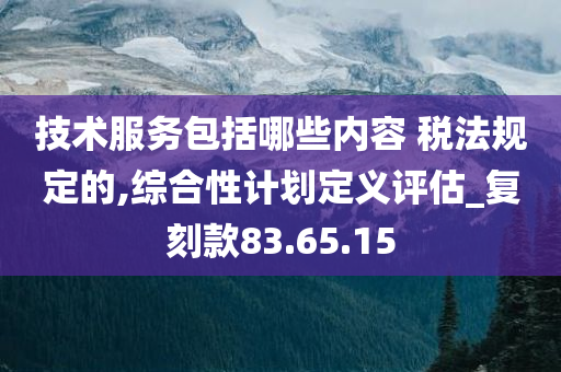 技术服务包括哪些内容 税法规定的,综合性计划定义评估_复刻款83.65.15