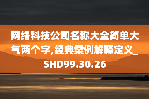 网络科技公司名称大全简单大气两个字,经典案例解释定义_SHD99.30.26