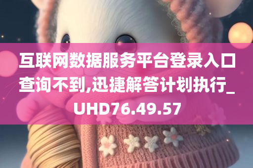 互联网数据服务平台登录入口查询不到,迅捷解答计划执行_UHD76.49.57