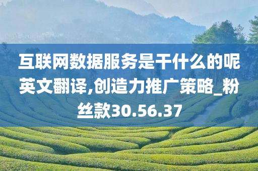 互联网数据服务是干什么的呢英文翻译,创造力推广策略_粉丝款30.56.37