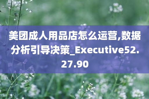 美团成人用品店怎么运营,数据分析引导决策_Executive52.27.90