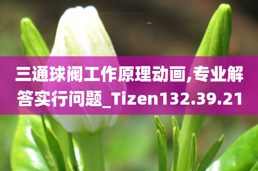 三通球阀工作原理动画,专业解答实行问题_Tizen132.39.21