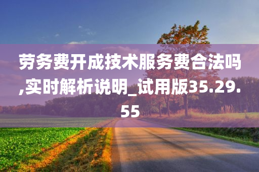 劳务费开成技术服务费合法吗,实时解析说明_试用版35.29.55