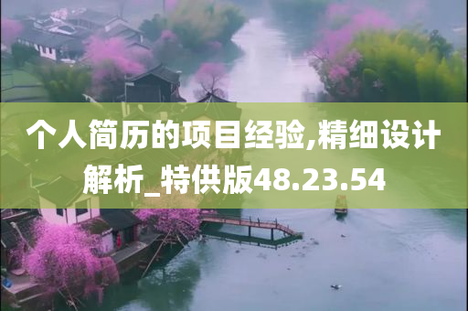 个人简历的项目经验,精细设计解析_特供版48.23.54