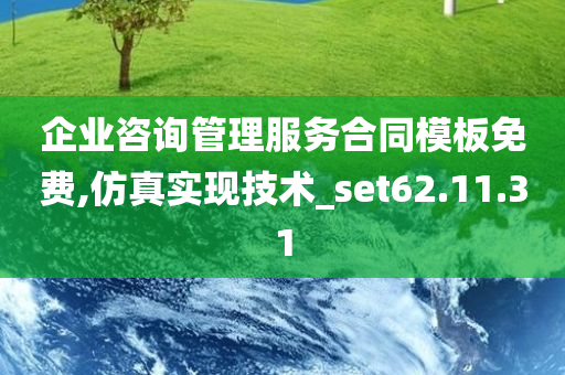 企业咨询管理服务合同模板免费,仿真实现技术_set62.11.31