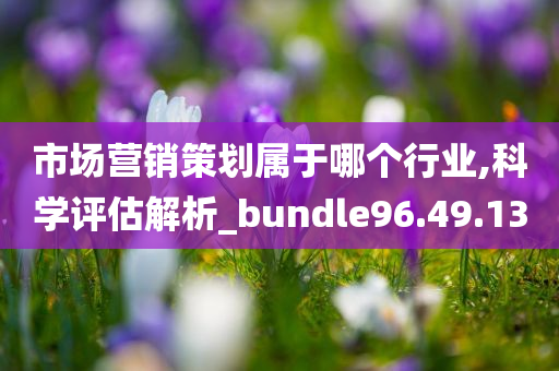 市场营销策划属于哪个行业,科学评估解析_bundle96.49.13