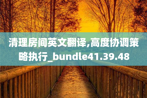 清理房间英文翻译,高度协调策略执行_bundle41.39.48