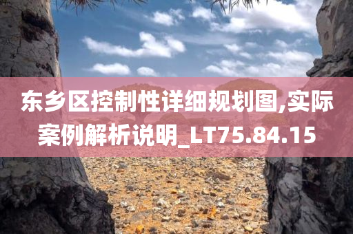 东乡区控制性详细规划图,实际案例解析说明_LT75.84.15